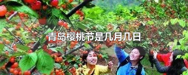 青岛樱桃节是几月几日