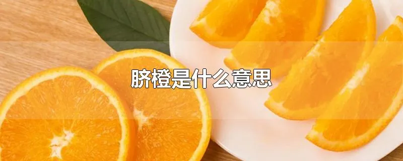 脐橙是什么意思