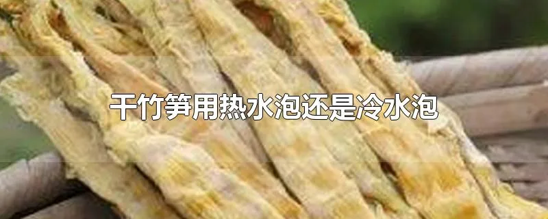 干竹笋用热水泡还是冷水泡