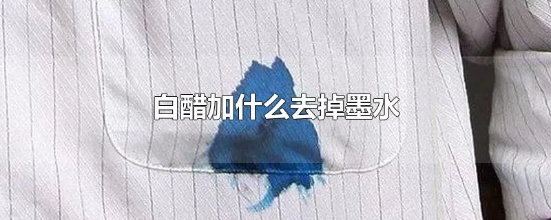 白醋加什么去掉墨水