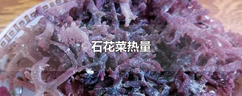 石花菜热量