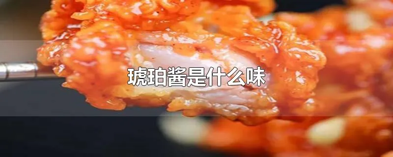 琥珀酱是什么味