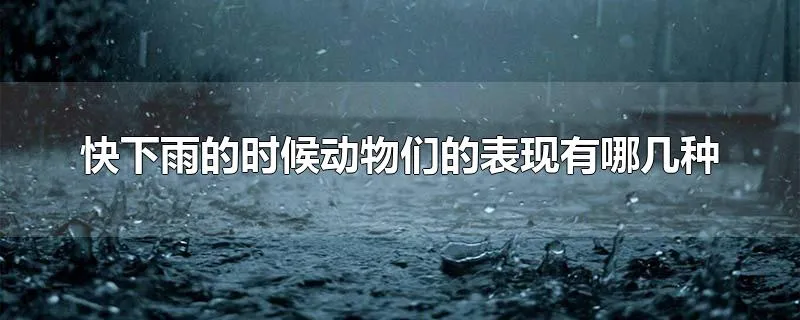 快下雨的时候动物们的表现有哪几种