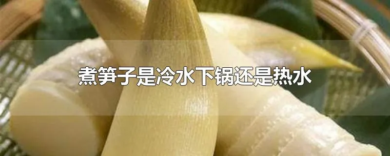 煮笋子是冷水下锅还是热水