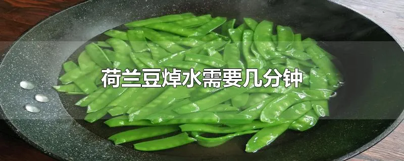 荷兰豆焯水需要几分钟