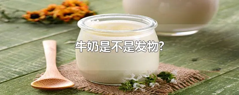 牛奶是不是发物?