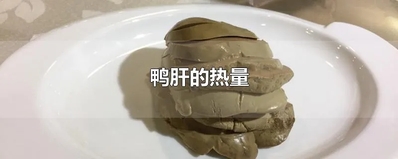 鸭肝的热量