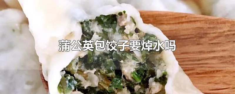 蒲公英包饺子要焯水吗