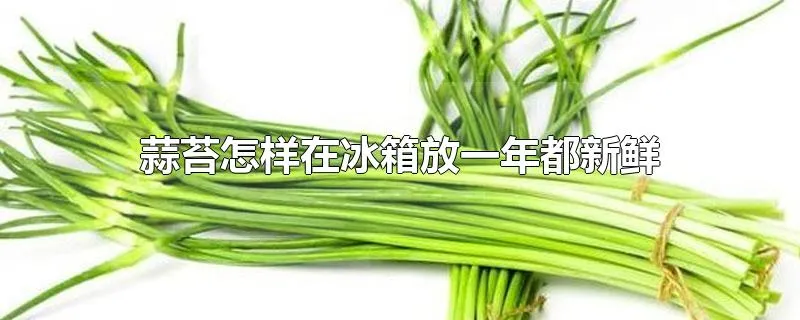 蒜苔怎样在冰箱放一年都新鲜