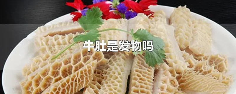 牛肚是发物吗