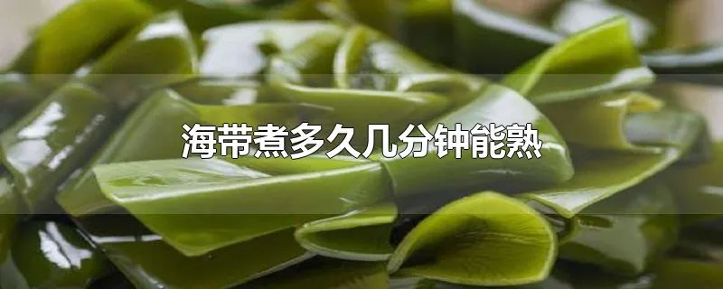 海带煮多久几分钟能熟