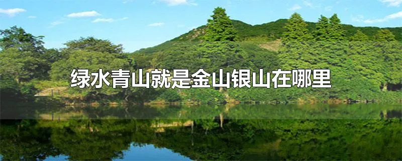 绿水青山就是金山银山在哪里提出的