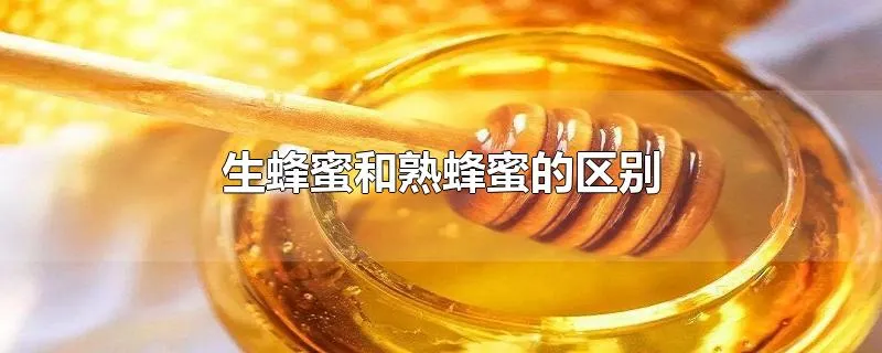 生蜂蜜和熟蜂蜜的区别