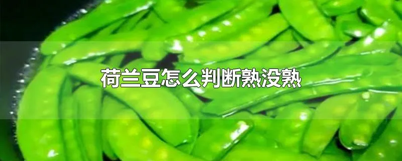 荷兰豆怎么判断熟没熟