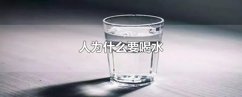 人为什么要喝水