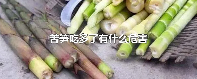 苦笋吃多了有什么危害