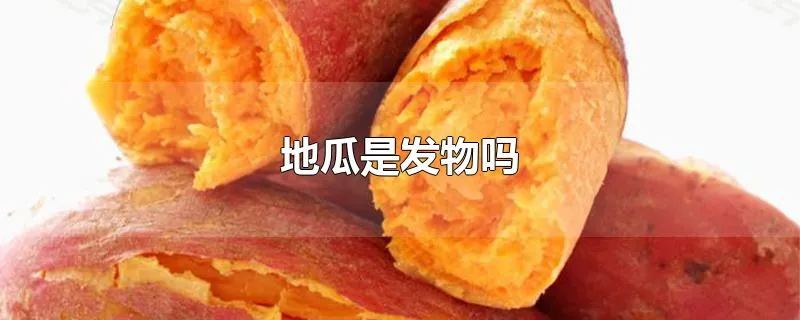 地瓜是发物吗