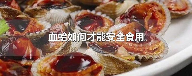 血蛤如何才能安全食用