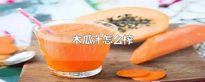 木瓜汁怎么榨