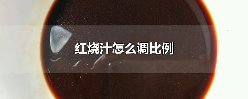 红烧汁怎么调比例