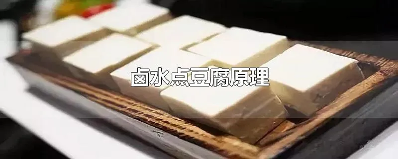 卤水点豆腐原理