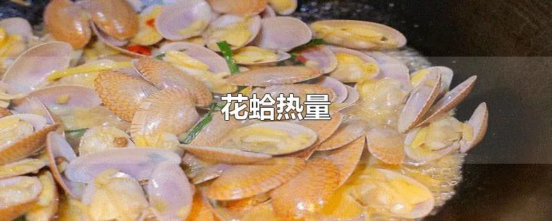 花蛤热量