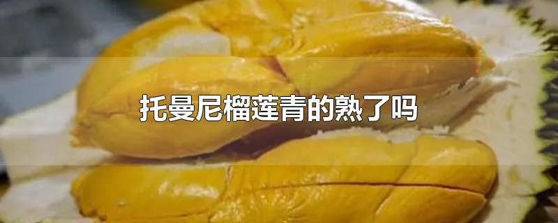 托曼尼榴莲青的熟了吗