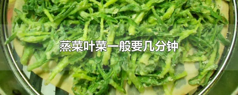 蒸菜叶菜一般要几分钟