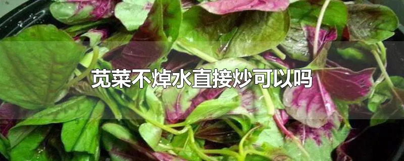 苋菜不焯水直接炒可以吗