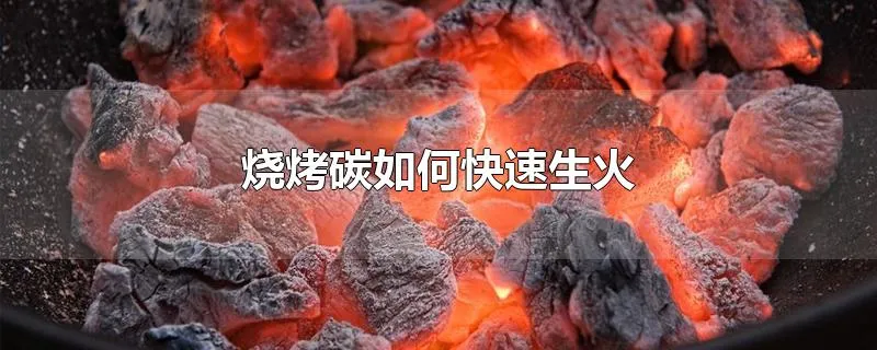 烧烤碳如何快速生火