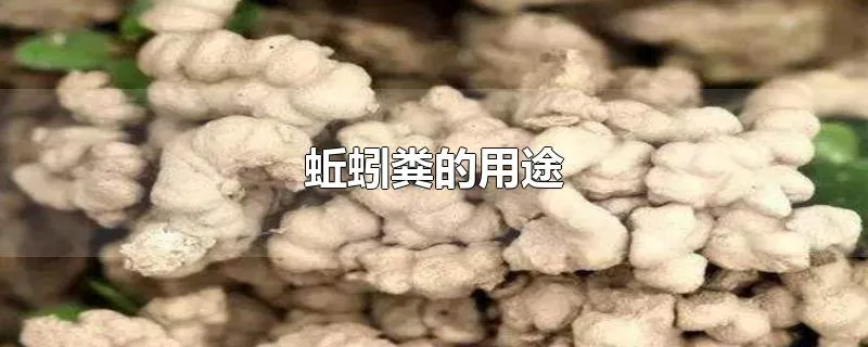 蚯蚓粪的用途