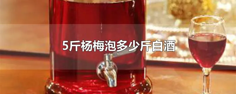 5斤杨梅泡多少斤白酒