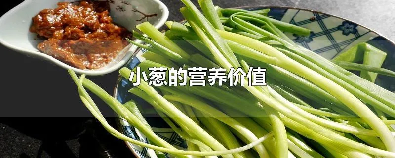 小葱的营养价值