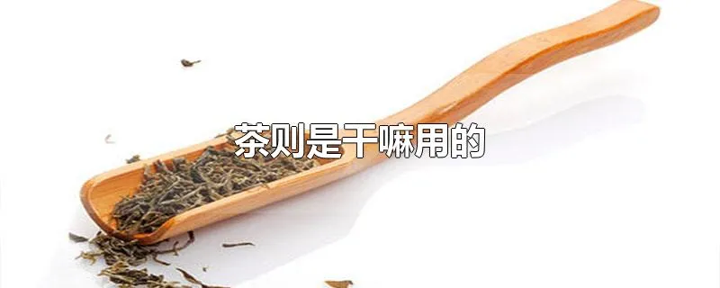 茶则是干嘛用的