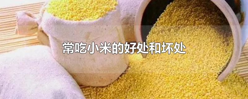 常吃小米的好处和坏处