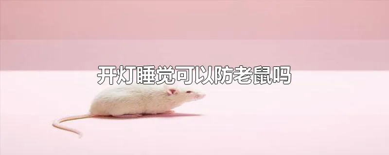 开灯睡觉可以防老鼠吗