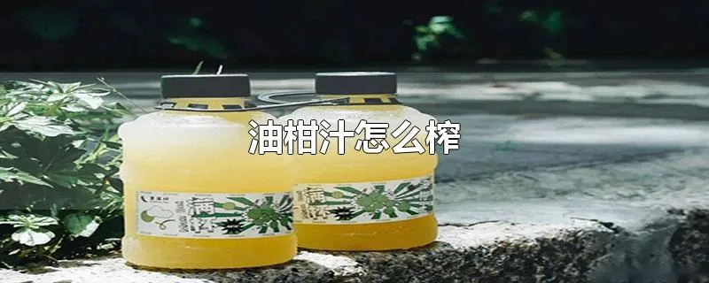 油柑汁怎么榨