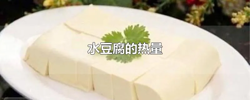 水豆腐的热量