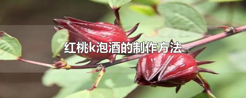 红桃k泡酒的制作方法