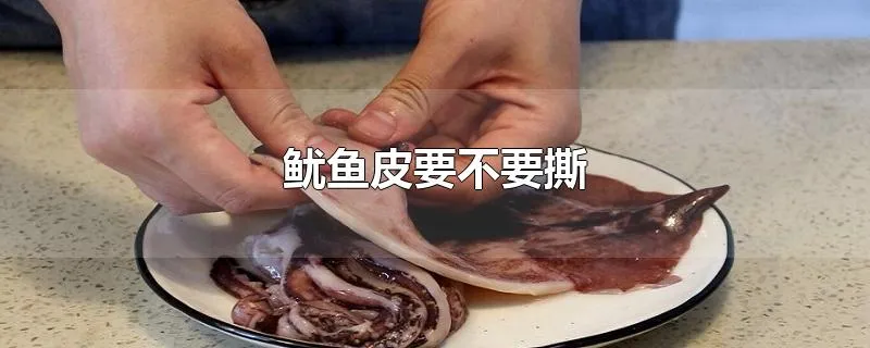 鱿鱼皮要不要撕