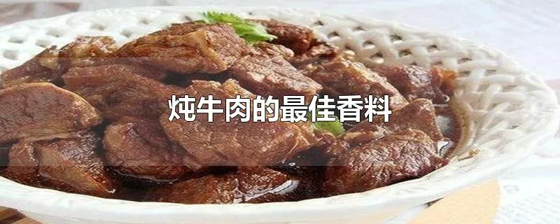 炖牛肉的最佳香料