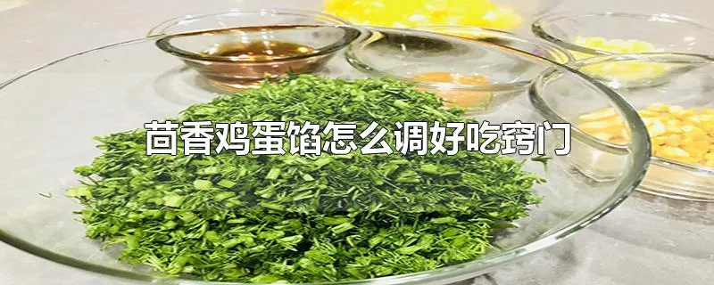 茴香鸡蛋馅怎么调好吃窍门