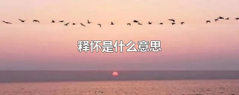 释怀是什么意思