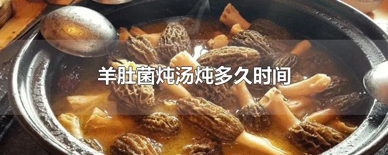 羊肚菌炖汤炖多久时间