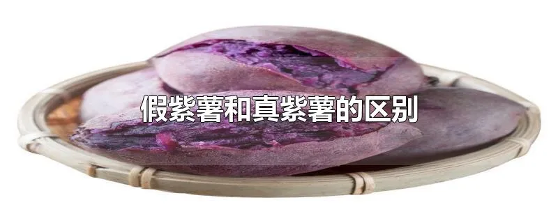假紫薯和真紫薯的区别