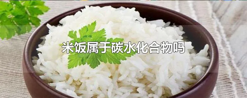 米饭属于碳水化合物吗