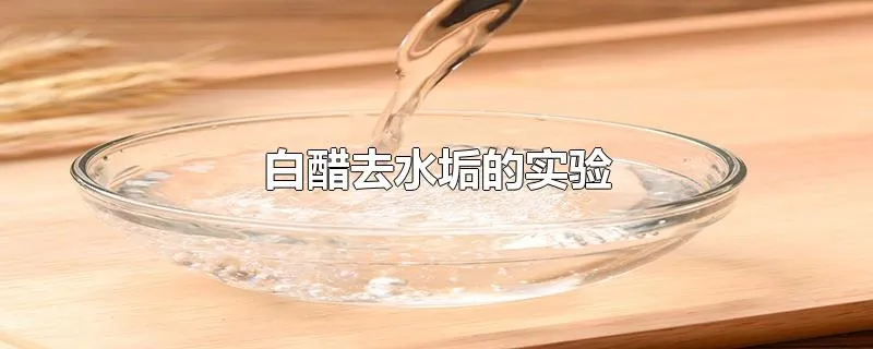 白醋去水垢的实验