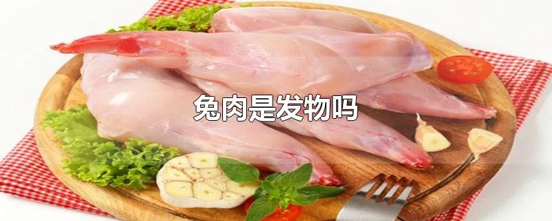 兔肉是发物吗