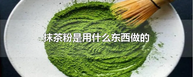 抹茶粉是用什么东西做的