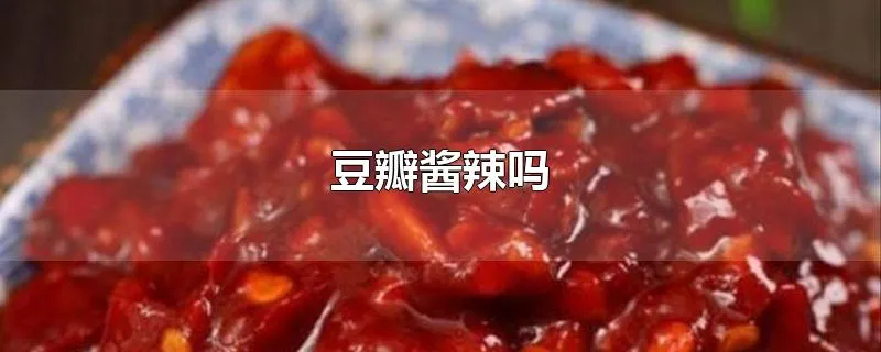 豆瓣酱辣吗